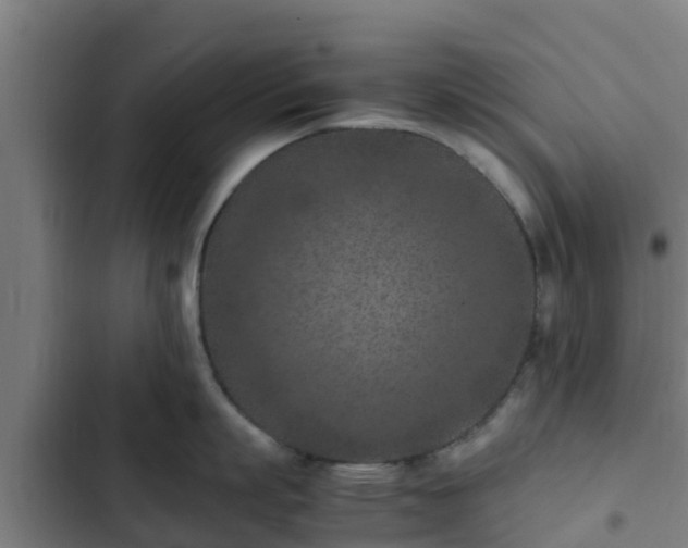 X0000103140863200808291337