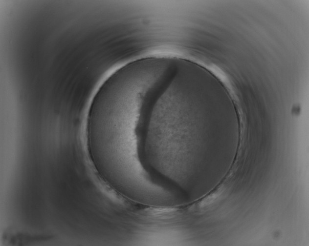 X0000103140864200808291337