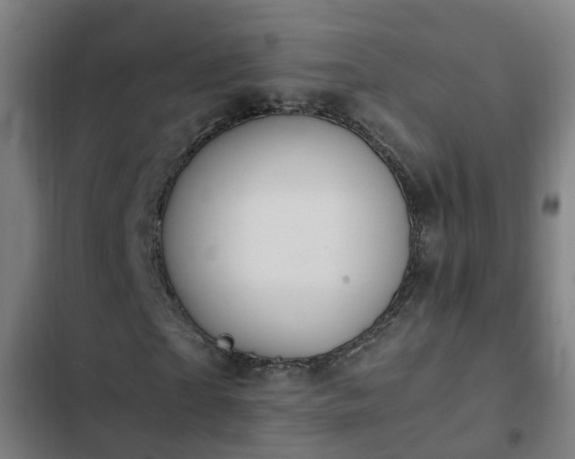 X0000103140865200808291336