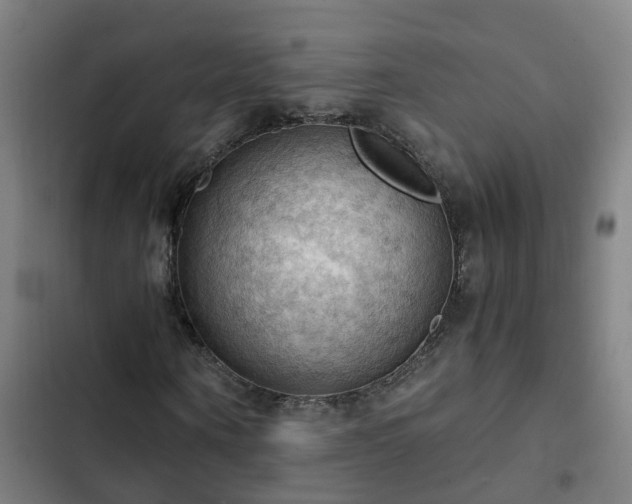 X0000103140866200808291336