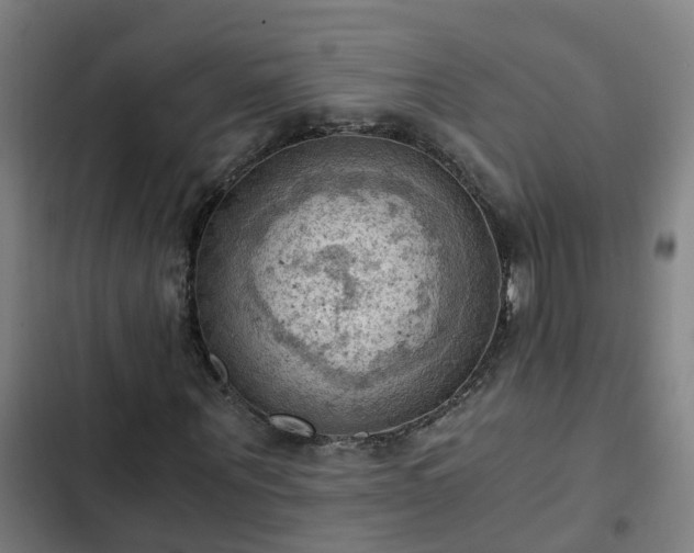 X0000103140867200808291336