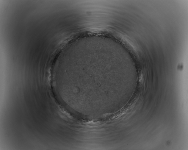 X0000103140868200808291336