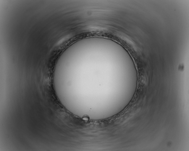 X0000103140869200808291336