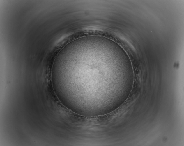 X0000103140870200808291336