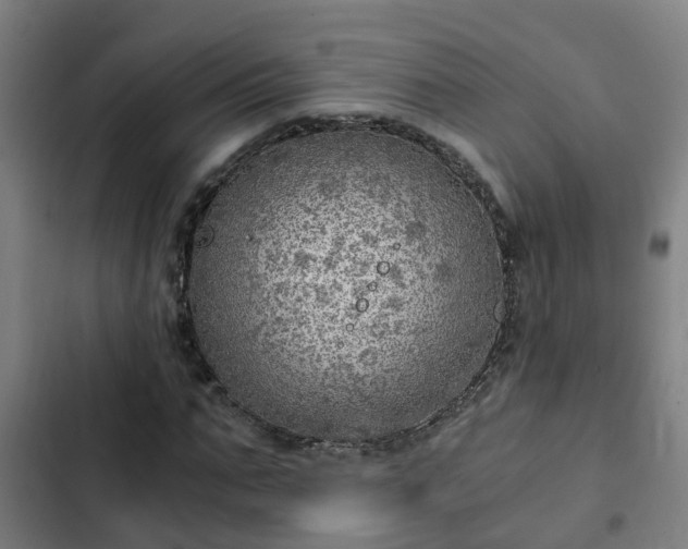 X0000103140871200808291336