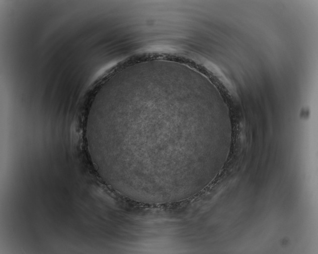 X0000103140872200808291336