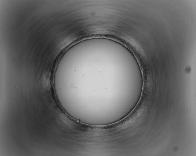 X0000103140873200808291336