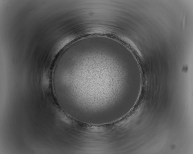 X0000103140874200808291336