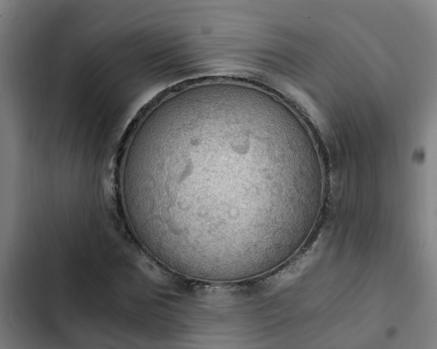 X0000103140875200808291336