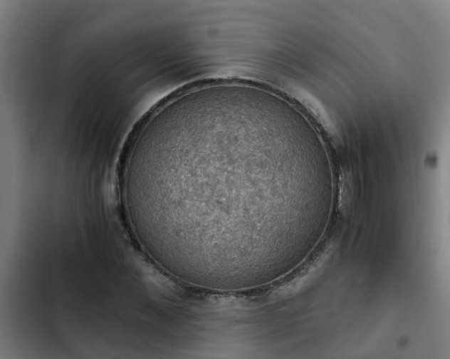 X0000103140876200808291336