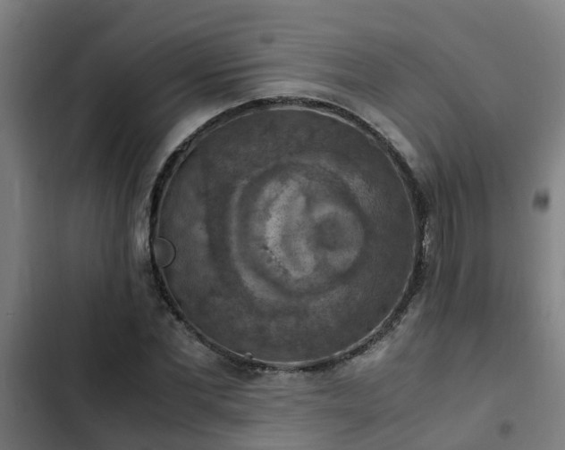 X0000103140877200808291336