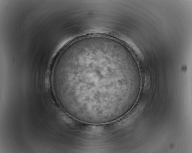 X0000103140878200808291336