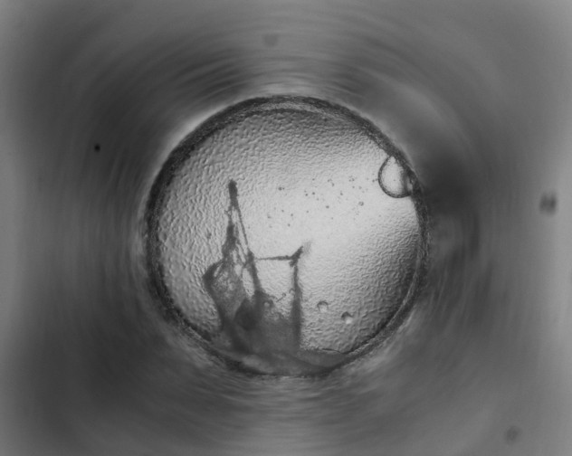 X0000103140879200808291336