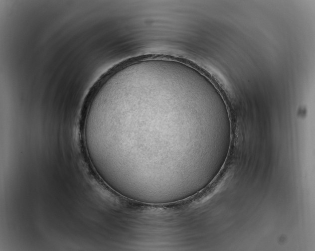 X0000103140880200808291336