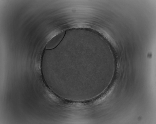 X0000103140881200808291336