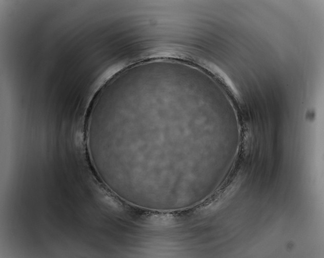 X0000103140882200808291336