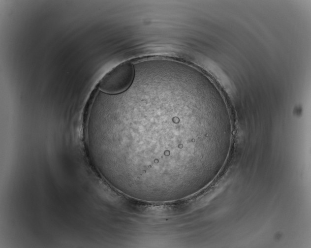 X0000103140883200808291336