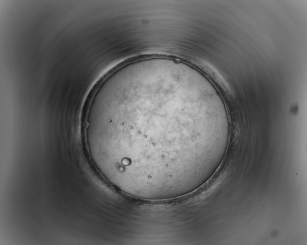 X0000103140884200808291336