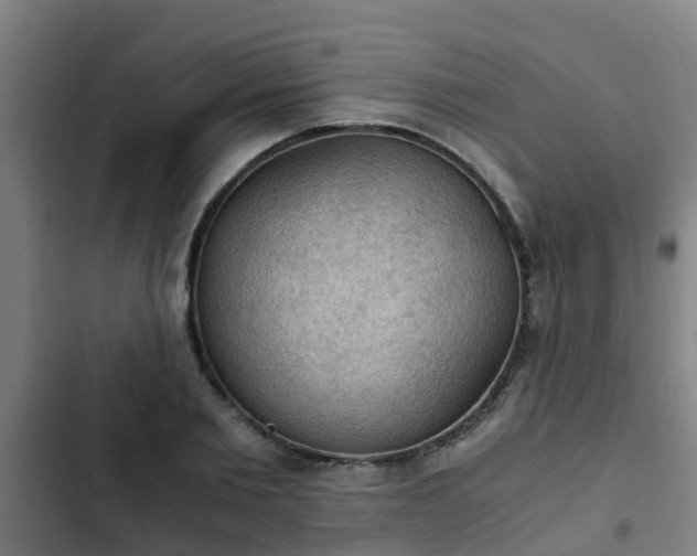 X0000103140885200808291336