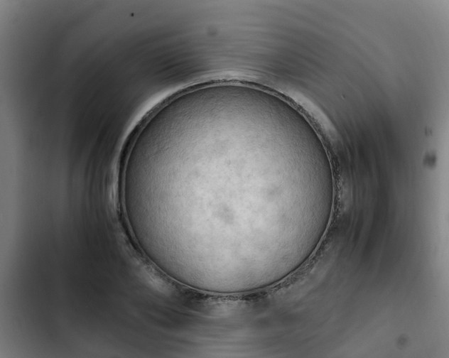 X0000103140886200808291336