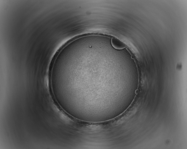 X0000103140888200808291336