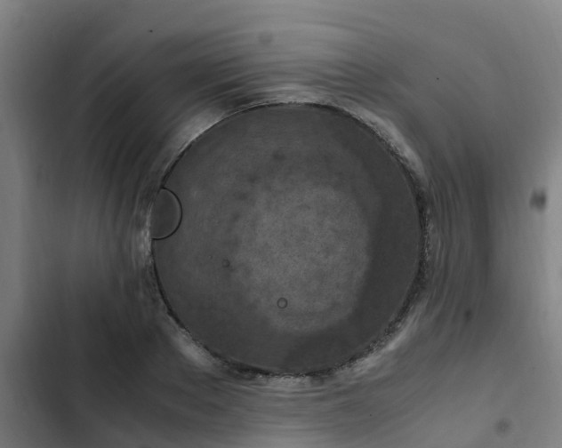 X0000103140889200808291336