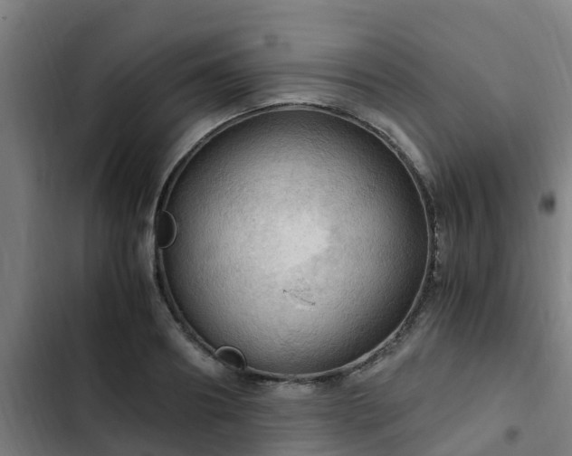 X0000103140890200808291336