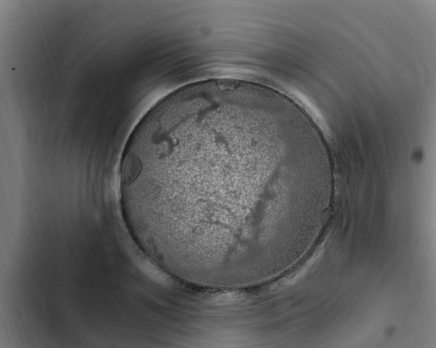 X0000103140891200808291336