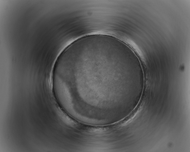 X0000103140892200808291336