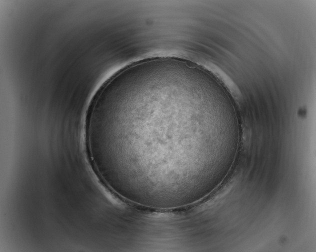 X0000103140894200808291336