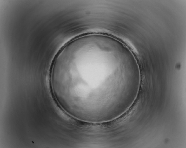 X0000103140895200808291336