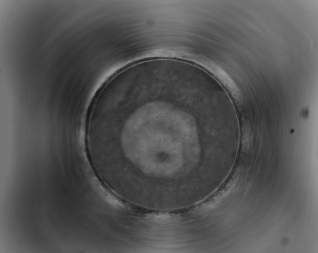 X0000103140896200808291336