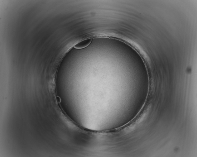 X0000103140897200808291336