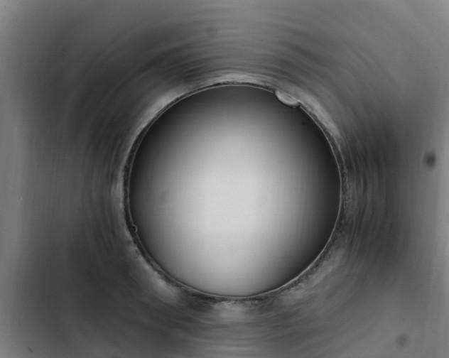 X0000103140898200808291336