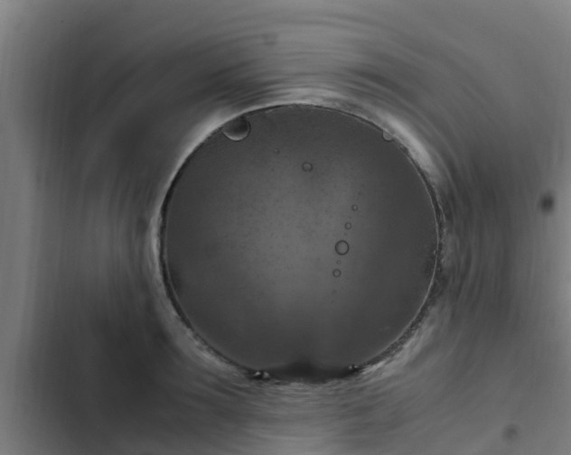 X0000103140899200808291336