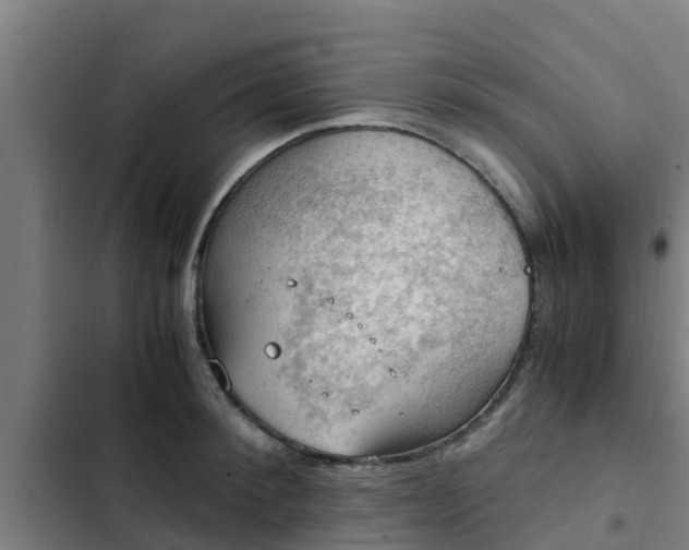 X0000103140900200808291336