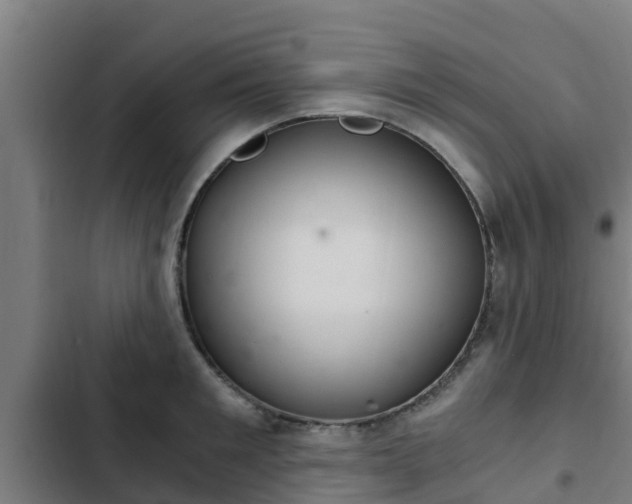 X0000103140901200808291336