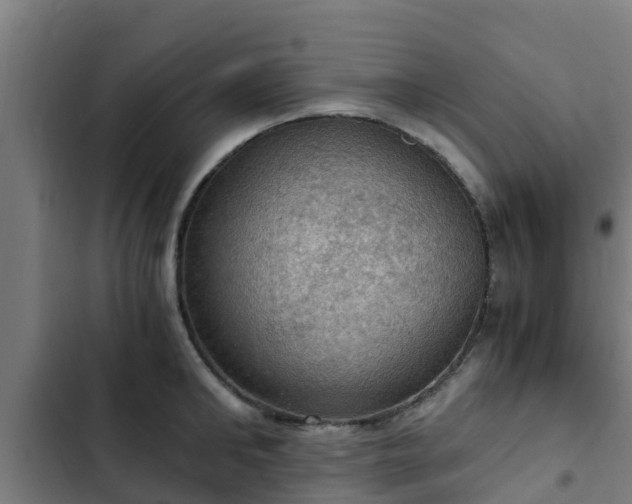 X0000103140902200808291336