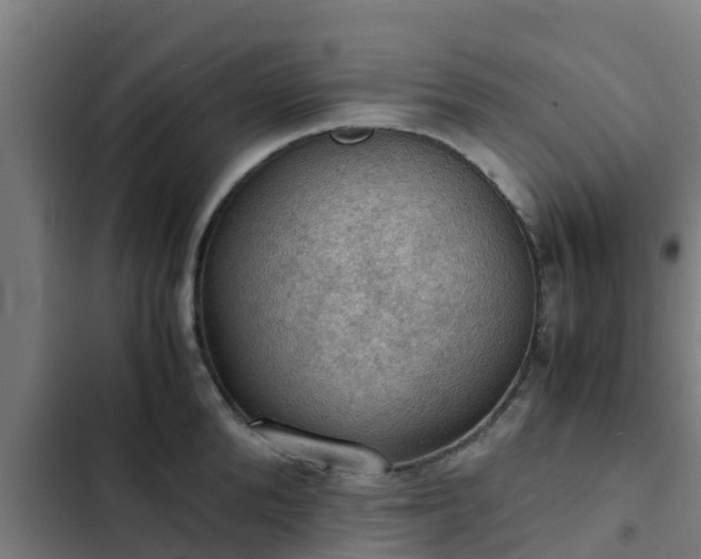 X0000103140904200808291335