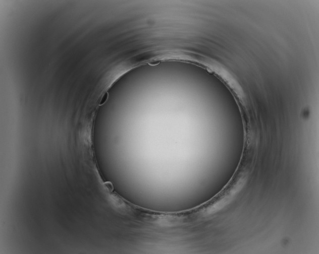 X0000103140905200808291335