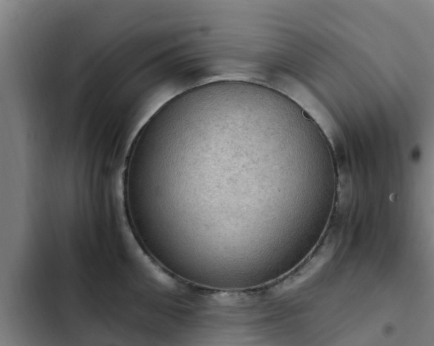 X0000103140906200808291335