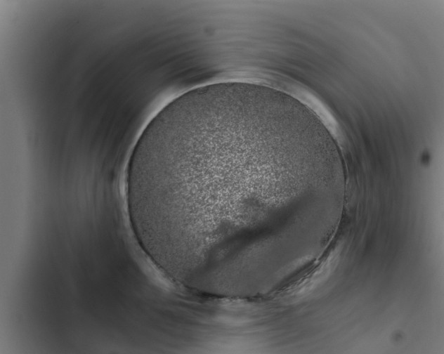 X0000103140907200808291335