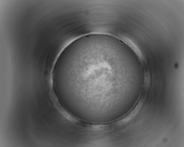 X0000103140908200808291335