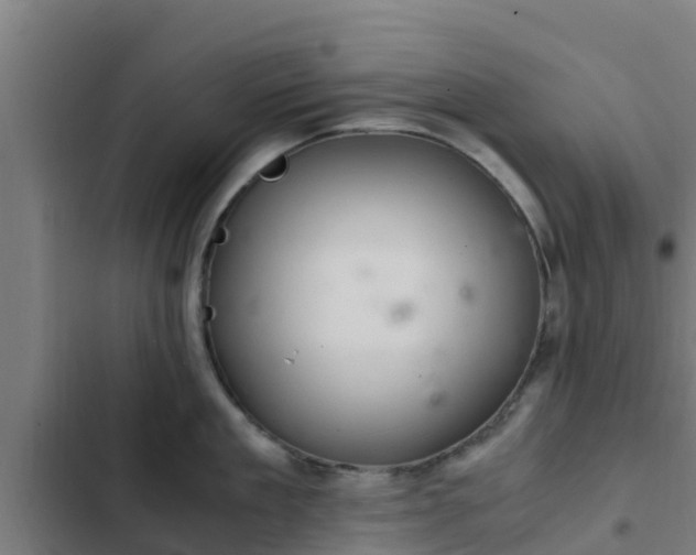 X0000103140909200808291335