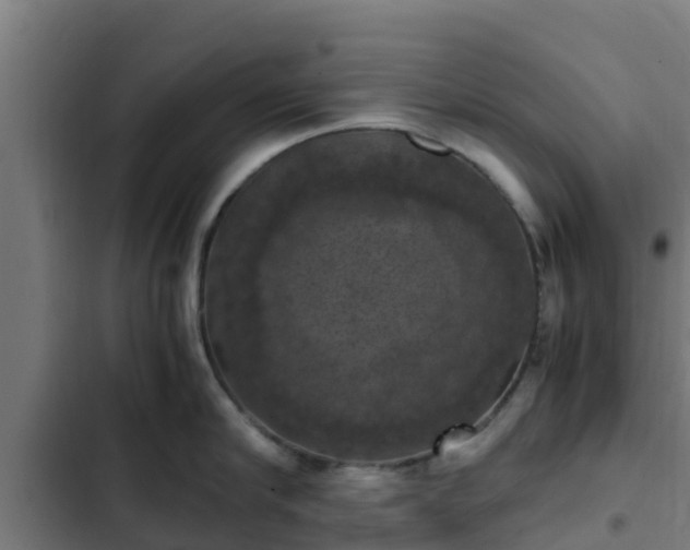 X0000103140910200808291335