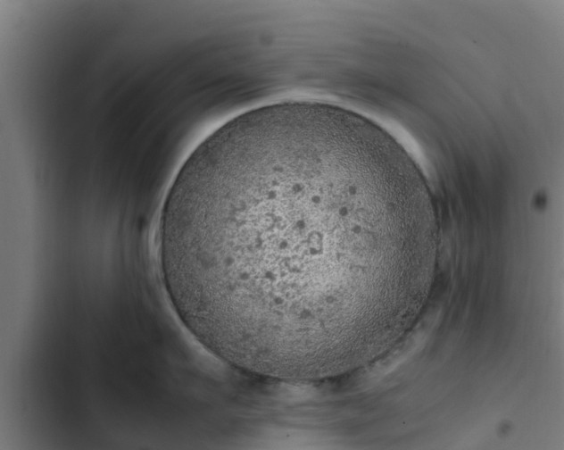 X0000103140911200808291335