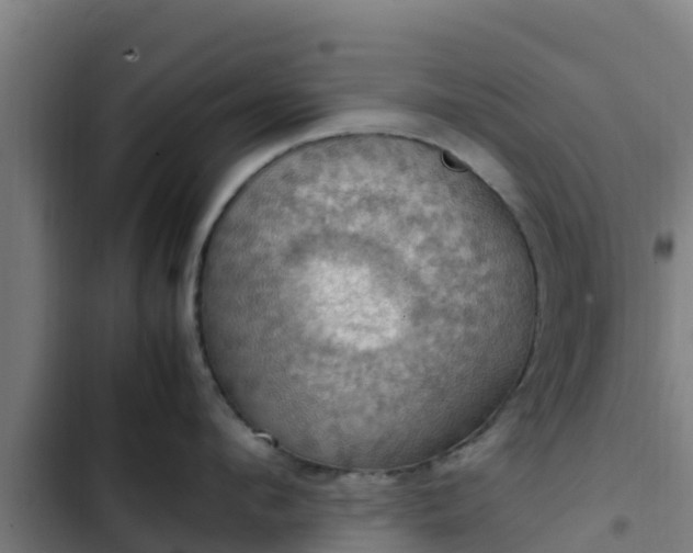 X0000103140912200808291335