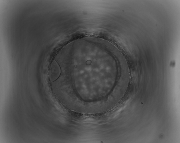 X0000103140913200808291335