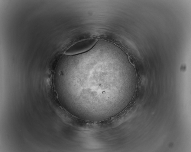 X0000103140914200808291335