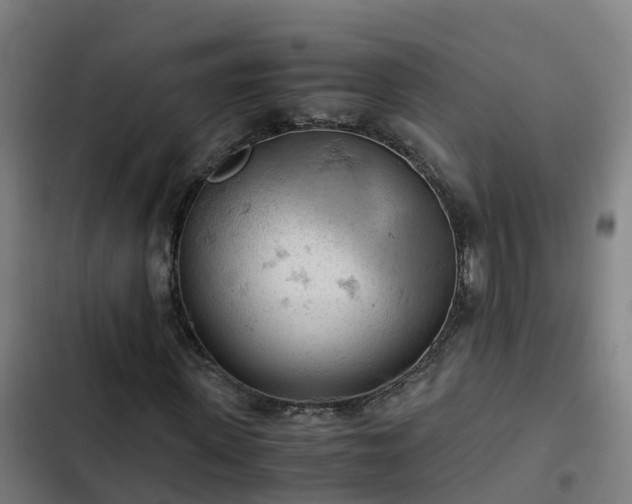 X0000103140915200808291335